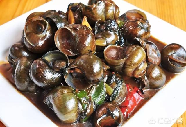 食用笠螺图片:钉螺是什么？经常吃有什么危害？