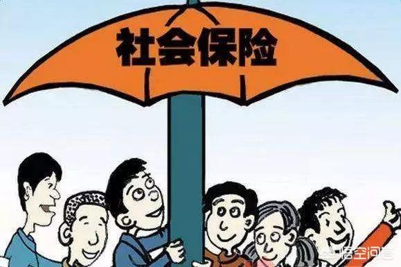 试用期交五险一金吗,试用期内需要交社保吗?为什么？