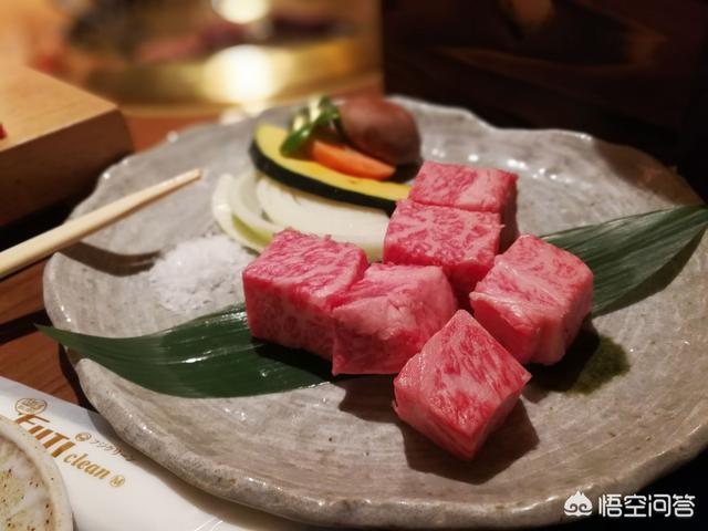 日本猫岛:如果丰臣秀吉不死，万历抗倭援朝会结束吗？