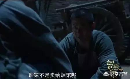 白鹿原白灵为什么换了:在《白鹿原》里，为何要在百灵的出生上安排白狼刁走百灵的这一段