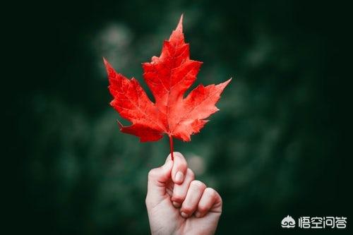 头条问答 有花堪折直须折 莫待无花空折枝是什么意思 该如何理解 驿路奇奇的回答 0赞