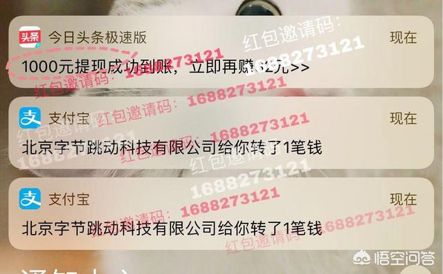 中学生可以怎样边读书边赚钱(边学习数学边赚钱的软件)