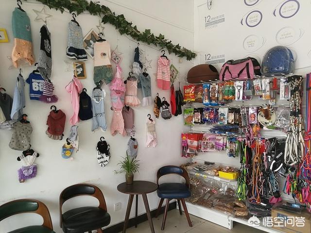 想开家宠物连锁店:开个品牌宠物店需要多少钱呢？