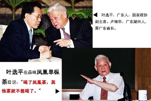 龙井属于什么茶有什么功效,鸭屎香是什么茶？有什么养生功效呢？