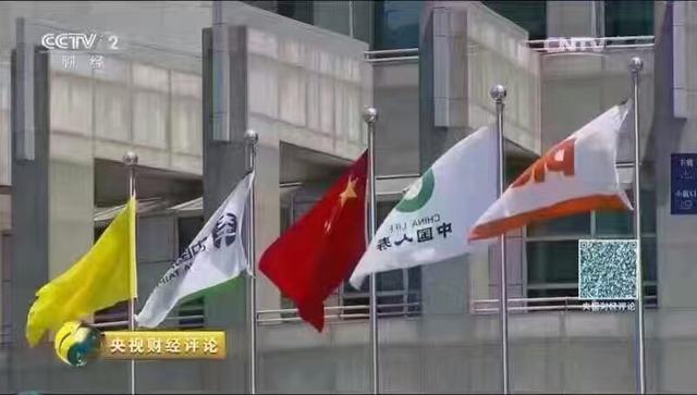 中国的保险公司哪几家是国企,哪几家是民企？