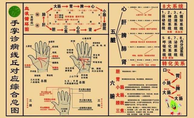 为什么有的人手上有横纹？