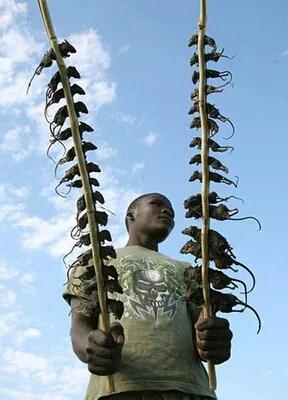 非洲人一般都吃什么呢？插图115