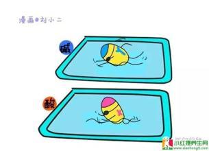 生男生女到底谁说了算？