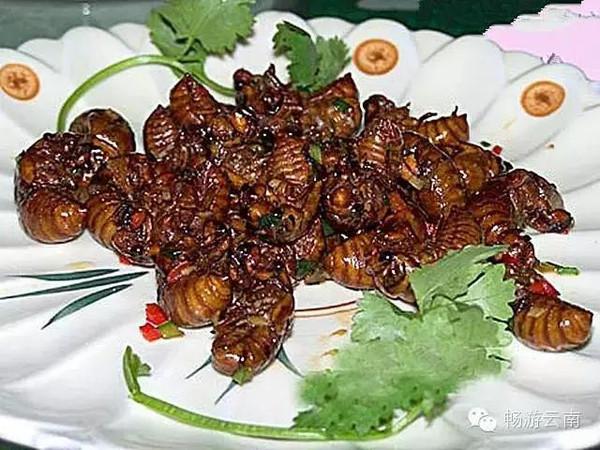 油炸毒蜘蛛:油炸毒蜘蛛的视频 云南人为什么会有那么多虫子做菜？
