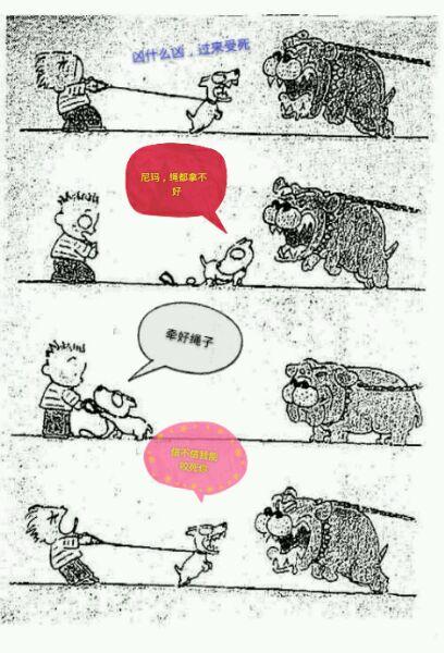 雅皮狗在线阅读:为什么人被狗追的时候只要人一蹲下狗就会跑？