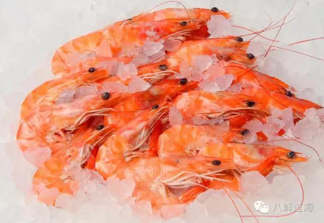 吃生蚝食物中毒潜伏期，有什么适合在秋天吃的海鲜呢？