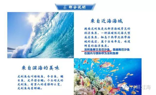 龙利鱼和巴沙鱼是一种鱼吗:龙利鱼与巴沙鱼哪个好 冷冻巴沙鱼怎么样？跟龙利鱼有什么区别？