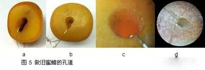 色很久图综合:如何区分和鉴别老蜜蜡、古董老蜜蜡、烤色老蜜蜡？