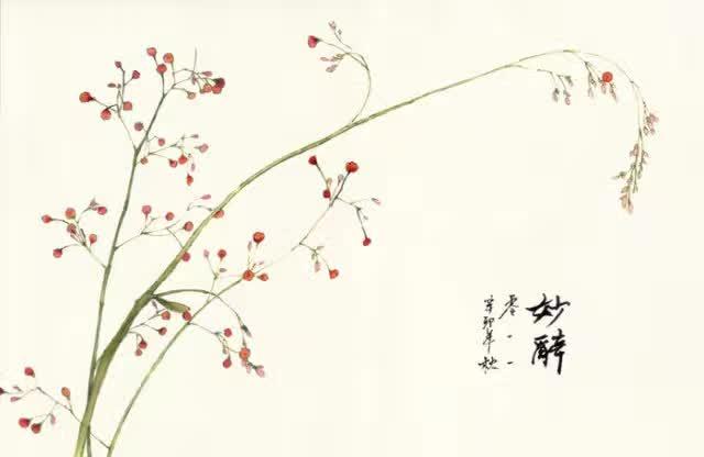 纳兰的词:你最喜欢的纳兰词是哪一句，以及你为什么喜欢？