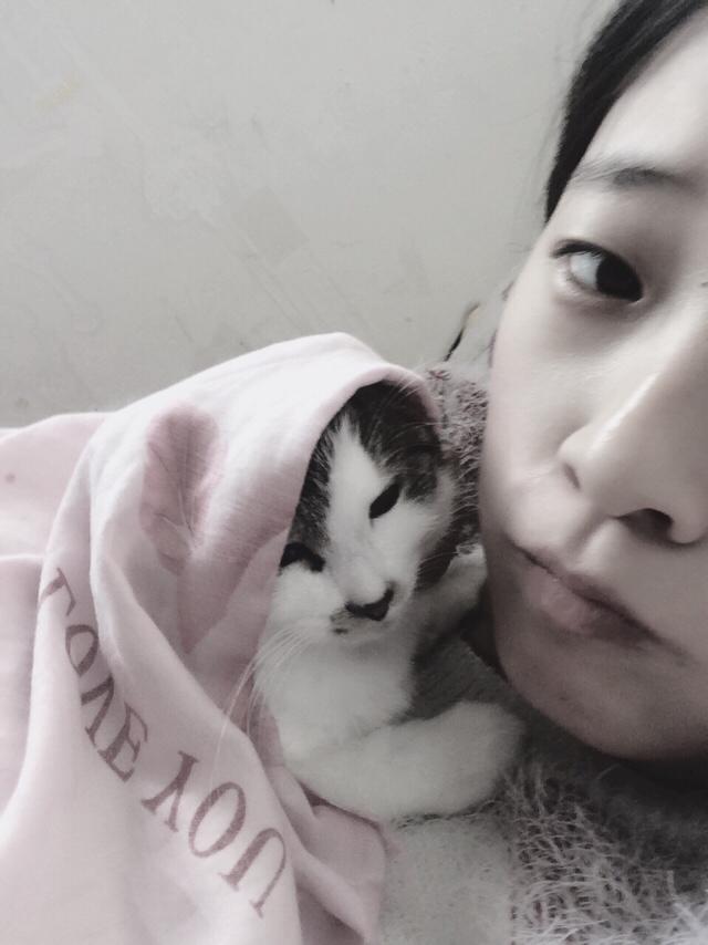 太原收养流浪猫狗:你会领养一只流浪猫或流浪狗吗？为什么？