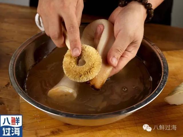 象拔蚌:象拔蚌为啥这么贵有啥营养