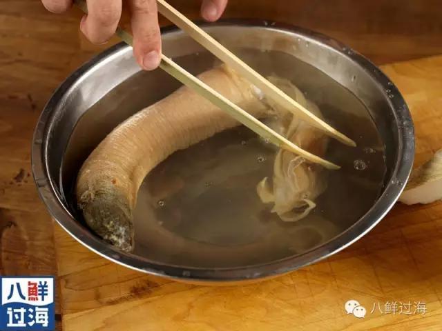 象拔蚌:象拔蚌为啥这么贵有啥营养