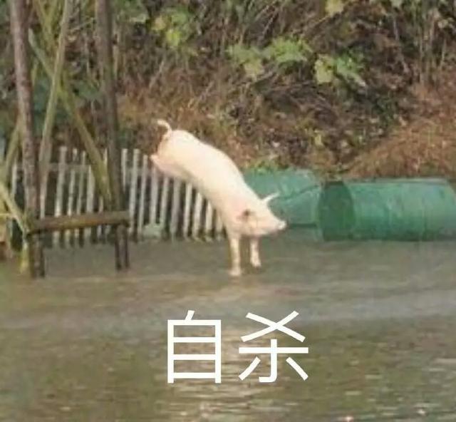作为女孩子玩王者荣耀有什么特殊福利嘛QAQ？