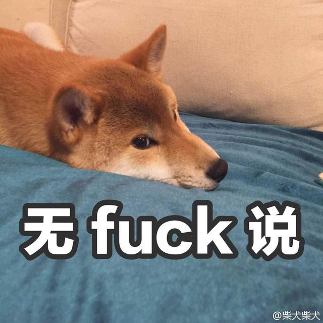 你见过什么样的乞丐？会给钱吗？