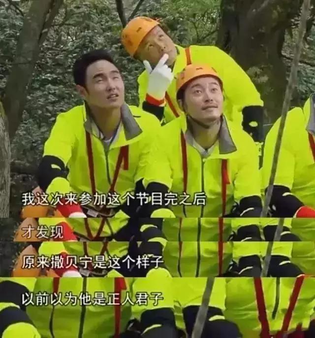 撒贝宁为什么退出央视:从央视走出来的撒贝宁，给您什么印象