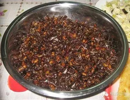 油炸毒蜘蛛:油炸毒蜘蛛的视频 云南人为什么会有那么多虫子做菜？
