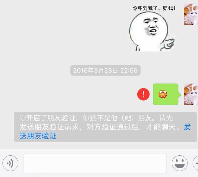 微信被加黑名单怎么加回来:微信拉黑了怎么加回来呀？