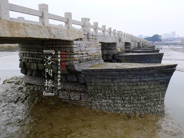 泉州为何会有洛阳桥？