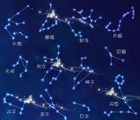 请问星座这东西准吗？我怎么感觉我全中？