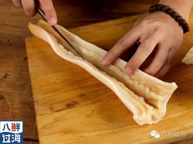 象拔蚌:象拔蚌为啥这么贵有啥营养
