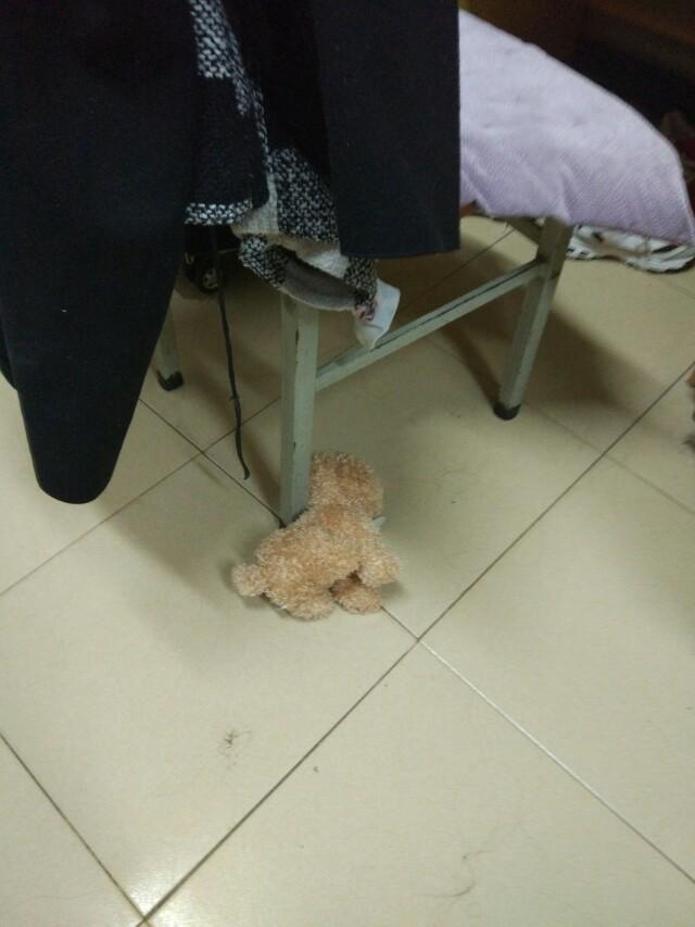 女子宿舍咸湿猫漫画在线:大学女生的宿舍生活内幕是怎样的？