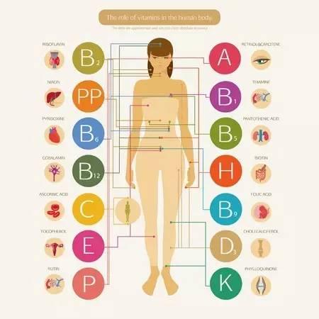 你缺啥(你缺啥套路你缺什么)