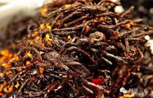 油炸毒蜘蛛:油炸毒蜘蛛的视频 云南人为什么会有那么多虫子做菜？