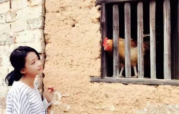 芈月传魏美人扮演者:芈月传魏美人是怎么死的结局是什么