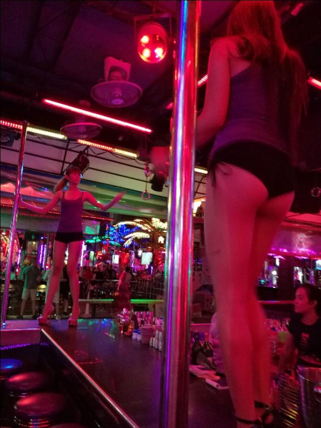 中国狸花猫在国外受欢迎吗:为什么中国狸花猫的野性比较大？