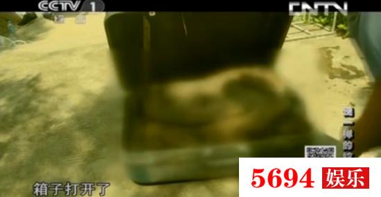 csi灭罪鉴证科2:我是一名在编事业单位员工，开车撞死人，负主责，能保住工作吗？