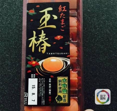 意大利扭玻利顿犬多少钱:为什么亲戚借钱喜欢向比自己穷的借？富的提都不提？
