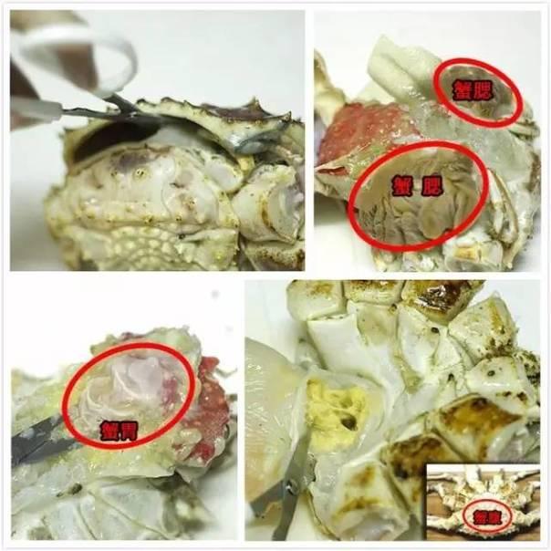 海蜇头怎么清洗，各种海鲜应该如何清洗处理