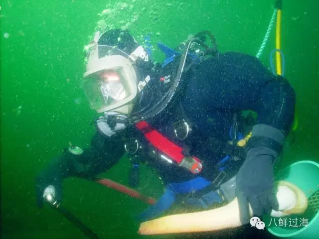 壮阳的海鲜排名，状元甲和苏美道森海鲜大酒楼，你认为哪家的菜更好吃？