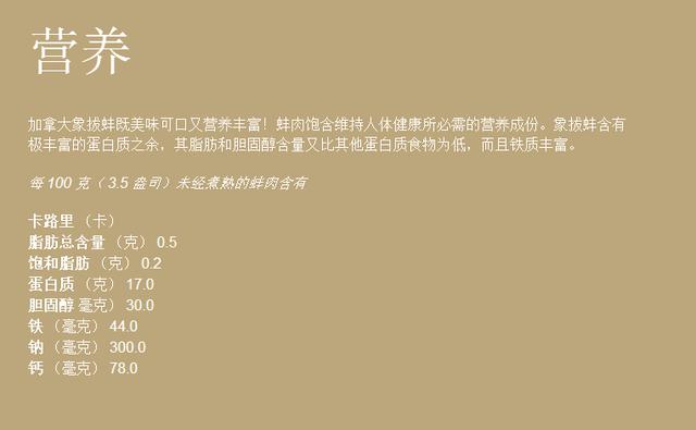 象拔蚌:象拔蚌为啥这么贵有啥营养