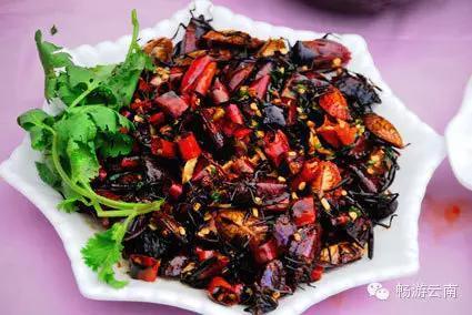 油炸毒蜘蛛:油炸毒蜘蛛的视频 云南人为什么会有那么多虫子做菜？