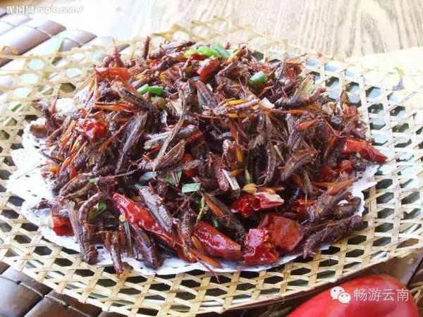 油炸毒蜘蛛:油炸毒蜘蛛的视频 云南人为什么会有那么多虫子做菜？