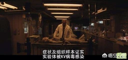 德国牧羊犬电影:近年来，有哪些没有在中国上映的好莱坞电影值得推荐？