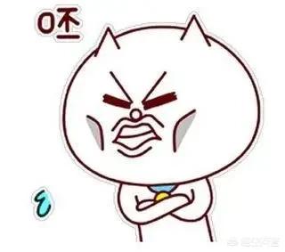 翟天临事件调查组:对于翟天临事件，你怎么看
