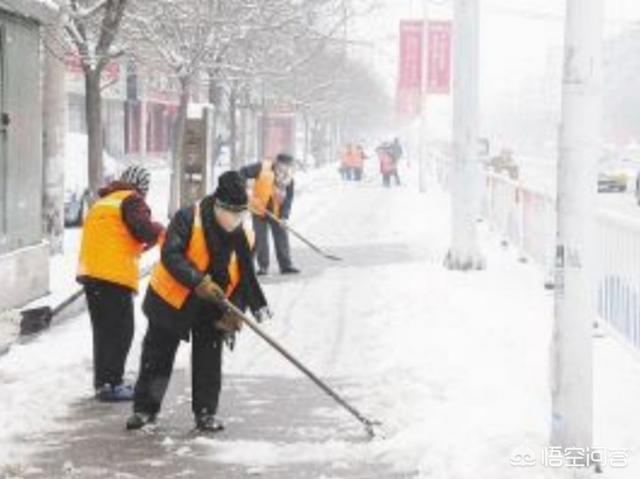 东莞环卫工人带宠物鸭扫大街:通过此次疫情，应该把环卫工人的工资涨一下了，你怎么看？