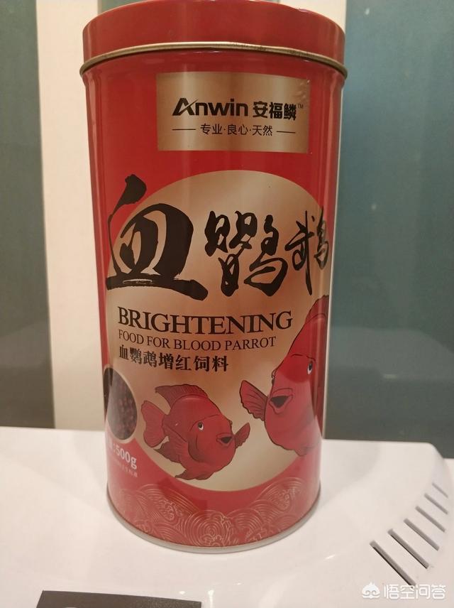 养鹦鹉鱼的鱼缸尺寸:单养30厘米红财神鹦鹉鱼用多大鱼缸养合适？如何养比较好？