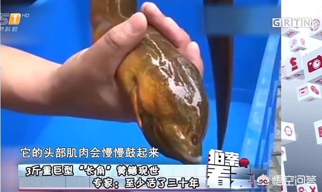 念力的秘密:念力是一种什么力？它到底有多强大？