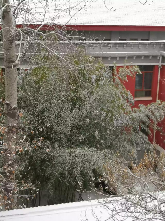 红色天空:早上和晚上的红色天空之间有区别吗？