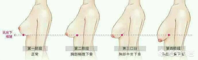 宝妈群体分析:一个母亲生了二胎，是否接下去的人生只能束缚在家庭中？