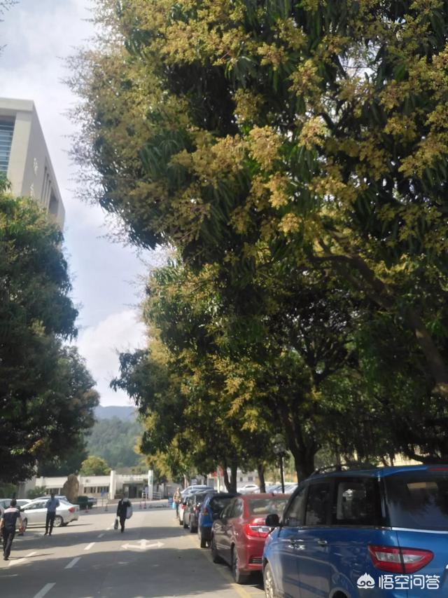 为什么有些人的微信头像从来不换？