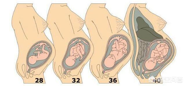 怀孕30周开始,胎动越来越大,正常吗?